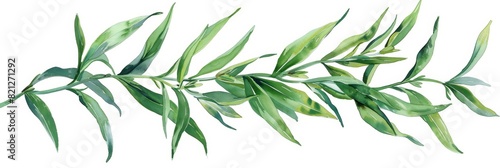 Fresh Green Tarragon Illustration for Cooking and Recipes Generative AI