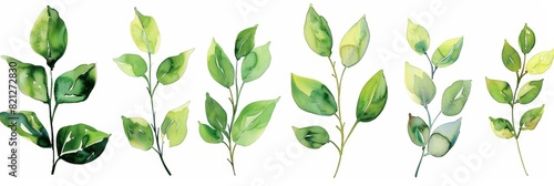 Watercolor Green Leaves on White Background for Nature Designs Generative AI