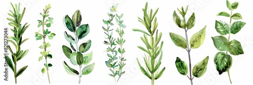 Vibrant Watercolor Herbs on White Background for Healthy Living Generative AI