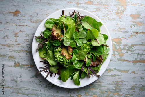 Принти на полотні Mix of fresh juicy raw salad greens