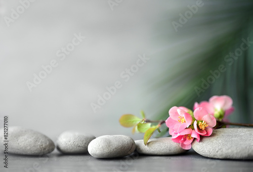 Photography Spa stones with palm branch and flowers on grey background.