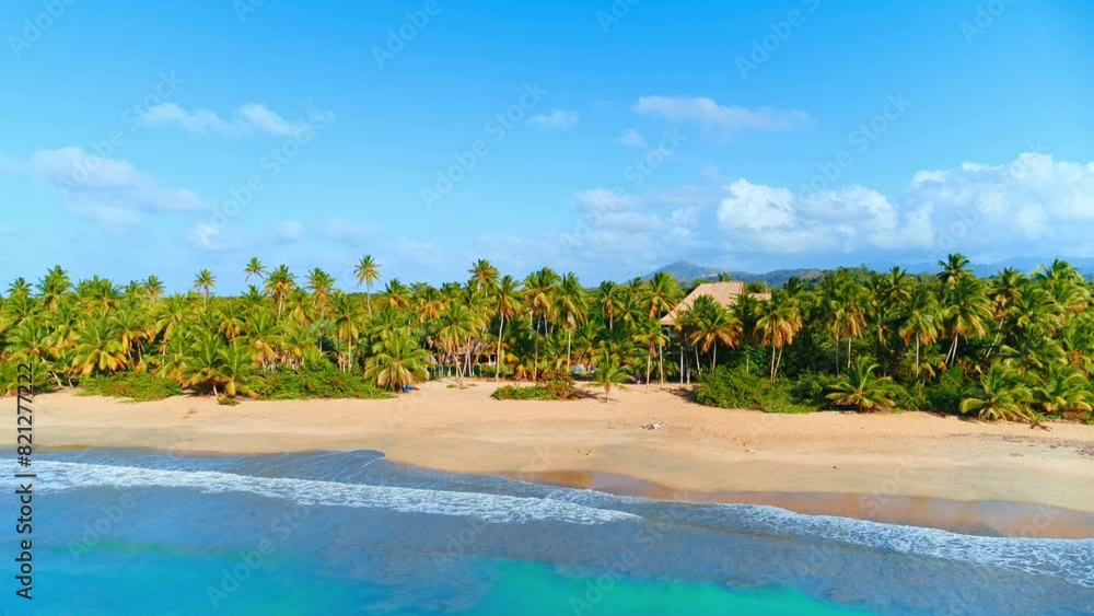 Summer day on a tropical island with coconut trees on the beach. Beautiful seascape of the Mexican coast. Walk along the golden sand of the sea beach. Picturesque landscape of wild nature. Summer day on a tropical island with coconut trees on the beach. Beautiful seascape of the Mexican coast. Walk along the golden sand of the sea beach. Picturesque landscape of wild nature.