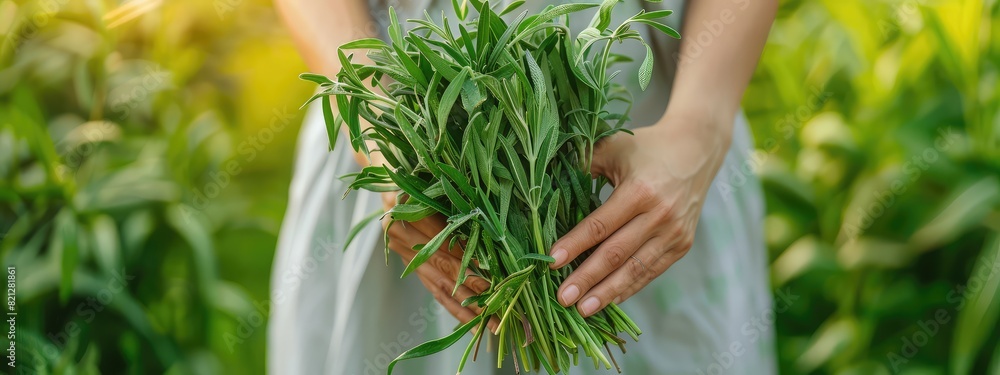 Fototapeta premium Harvest in the hands of a woman in the garden. Selective focus.