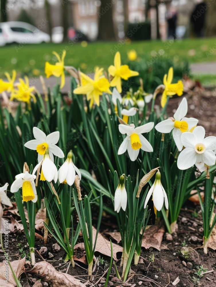 Obraz premium A golden gradient cat in the flowers, spring, romantic atmosphere, photography, real, 4k, generated with ai