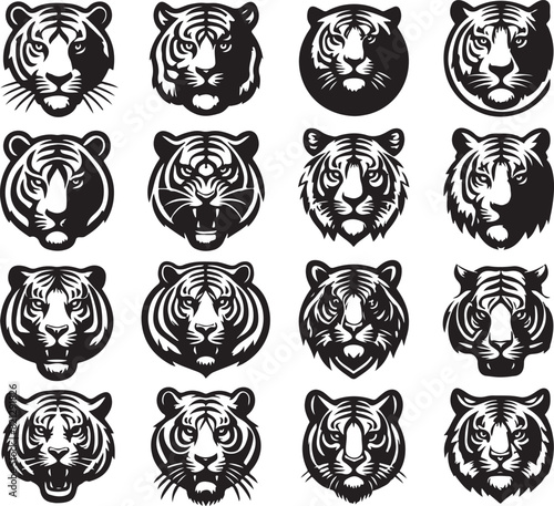 tiger bundle vector © design master