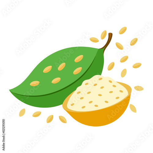 Sesame Seed Pod and Seeds Vector Illustration