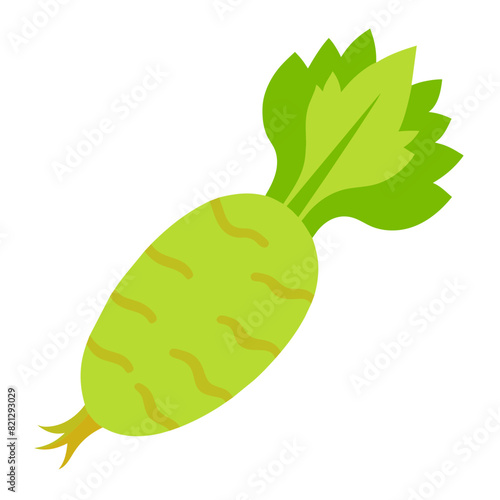 whole, fresh, raw wasabi root, perfect for food, cooking, and culinary designs