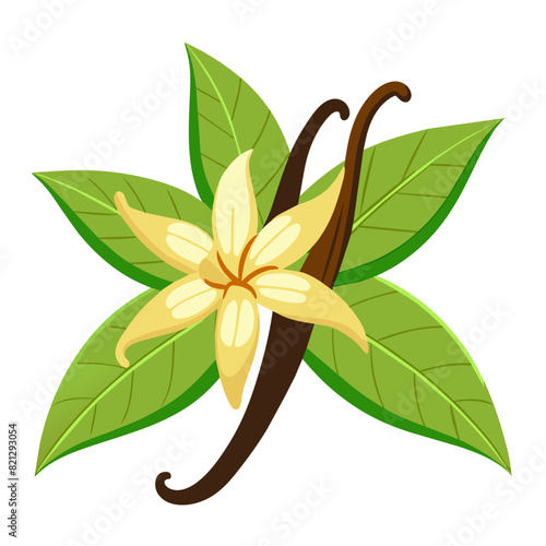 transparent vector illustration of vanilla pods, perfect for use in cooking, baking, food-related designs