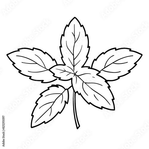Lemon Balm Elegance - Vector Art - perfect for culinary and therapeutic design projects