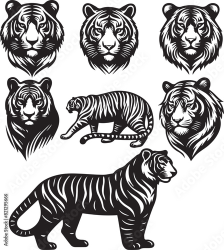 tiger bundle vector