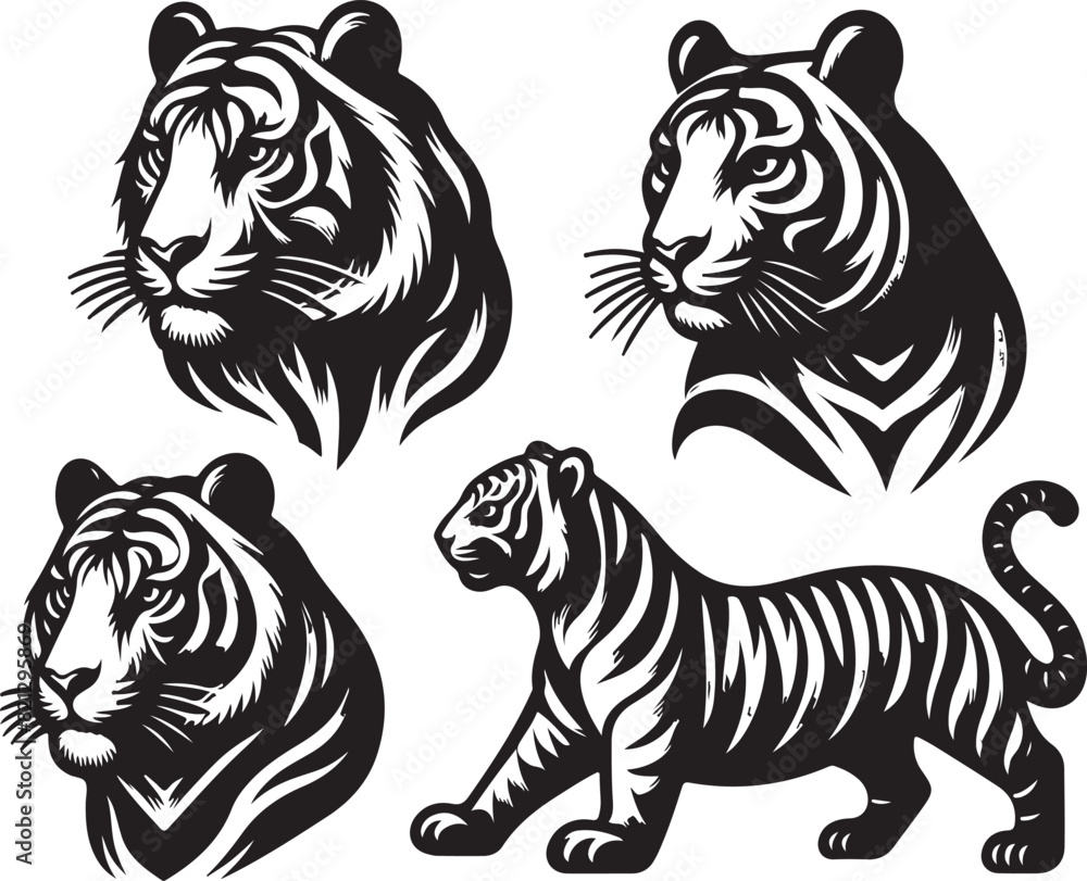 tiger bundle vector