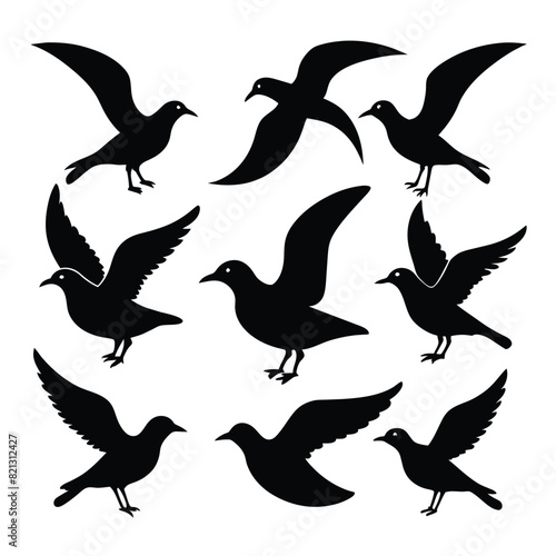 Set of Seagull animal Silhouette Vector on a white background