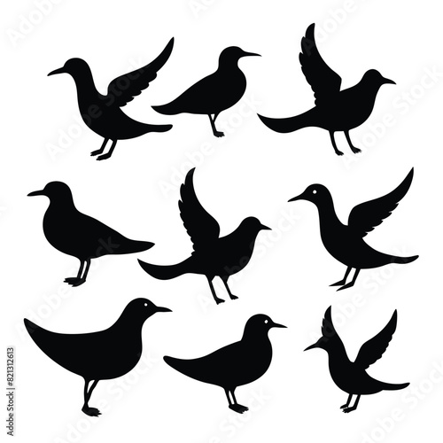 Set of Seagull animal Silhouette Vector on a white background © mobarok8888