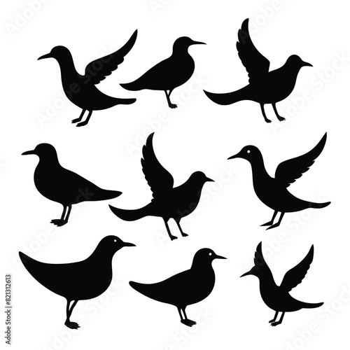 Set of Seagull animal Silhouette Vector on a white background