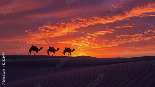 Group of People Riding on the Backs of Camels