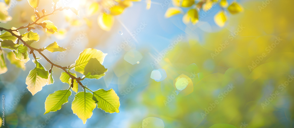 A spring landscape with soft lighting showcasing green leaves and blue sky, representing the beauty of nature in the season. A spring landscape with soft lighting showcasing green leaves and blue sky, representing the beauty of nature in the season.