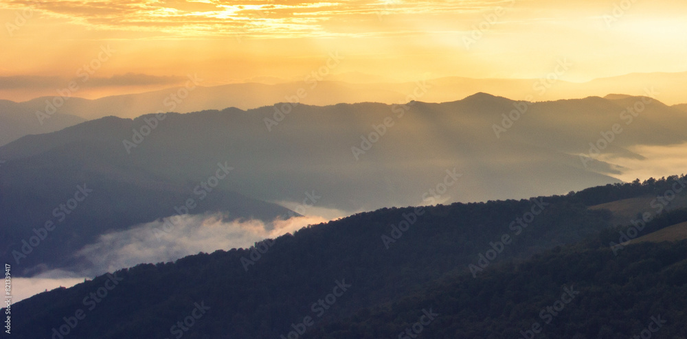summer foggy scenery, scenic sunset view in the mountains, Carpathian mountains, Ukraine, Europe summer foggy scenery, scenic sunset view in the mountains, Carpathian mountains, Ukraine, Europe