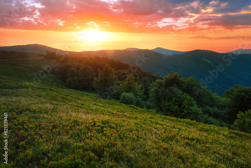 summer foggy scenery, scenic sunset view in the mountains, Carpathian mountains, Ukraine, Europe  © Rushvol