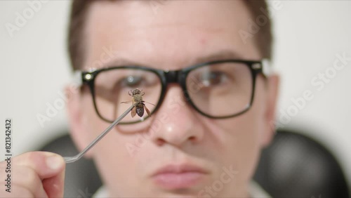 Against the background of the blurred face of a man with glasses, there is a dried bee that he holds with tweezers