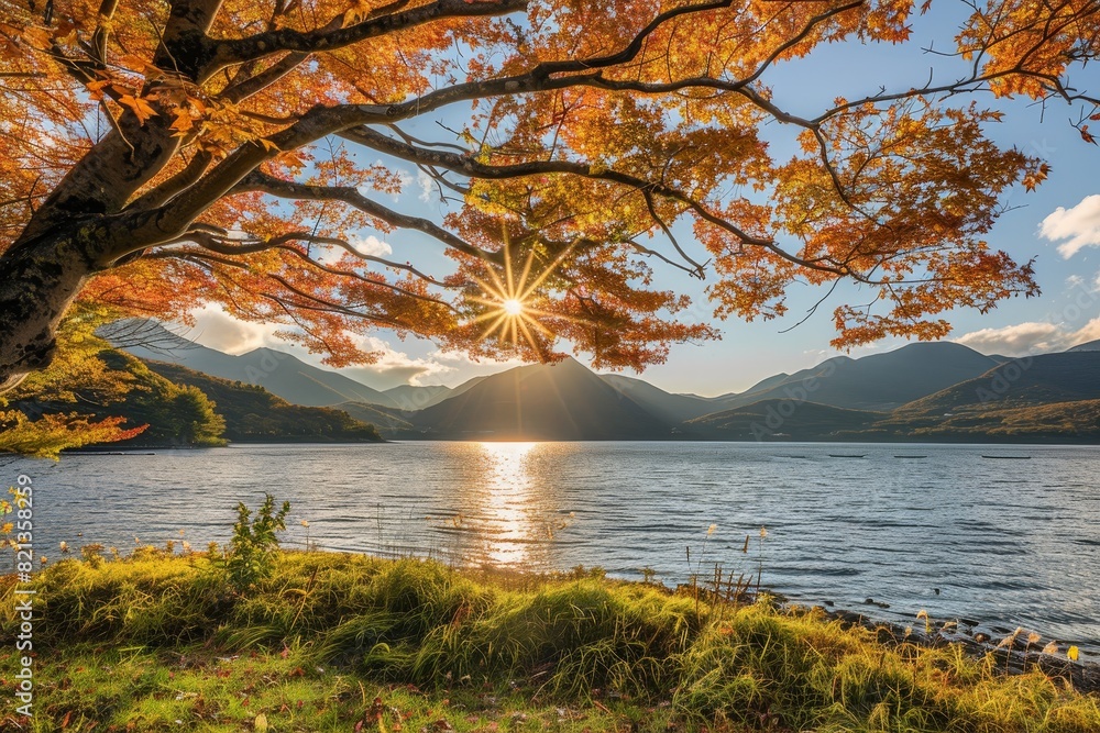 Serene autumn landscape with trees in full swing, their leaves of various shades of orange Serene autumn landscape with trees in full swing, their leaves of various shades of orange