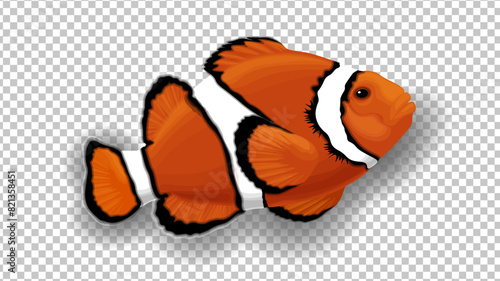 3D Clownfish in orange, black and white colors. Transparent background. Anemone tropical fish isolated vector illustration