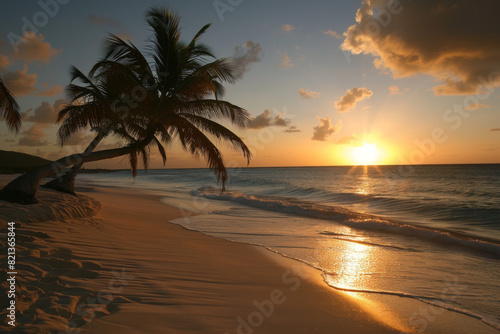 Beautiful Orange Sunset on a Beach with a Single Palm Tree by the Sea