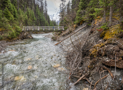 Wooden footbridge over Numa Creek in Kootenay National Park, British Columbia, Canada
