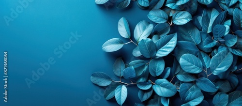 Assorted leaves on blue surface.