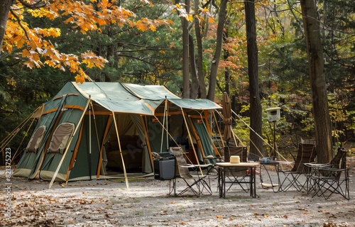 Tent Amidst Forest Trees