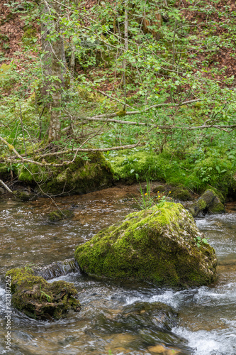 la Valserine, rivière sauvage