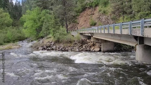 Video River Mountain Trees photo