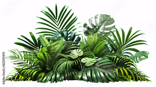 Tropical Plant Arrangement