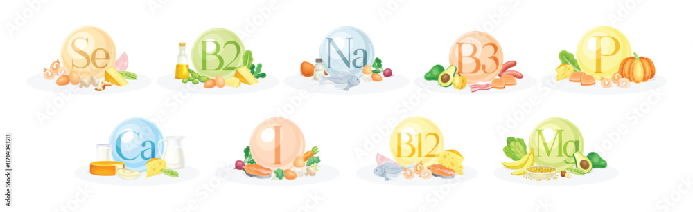 Food Group and Vitamin Category of Macro and Micronutrient Vector Set