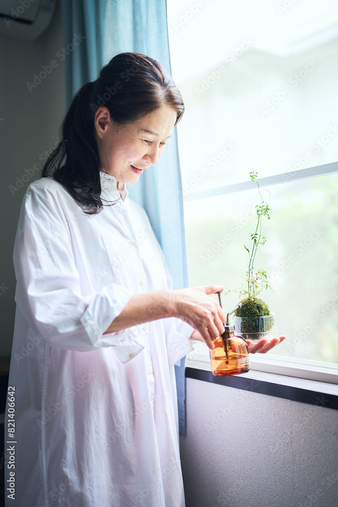 苔玉に霧吹きをかけるシニア女性 苔玉に霧吹きをかけるシニア女性