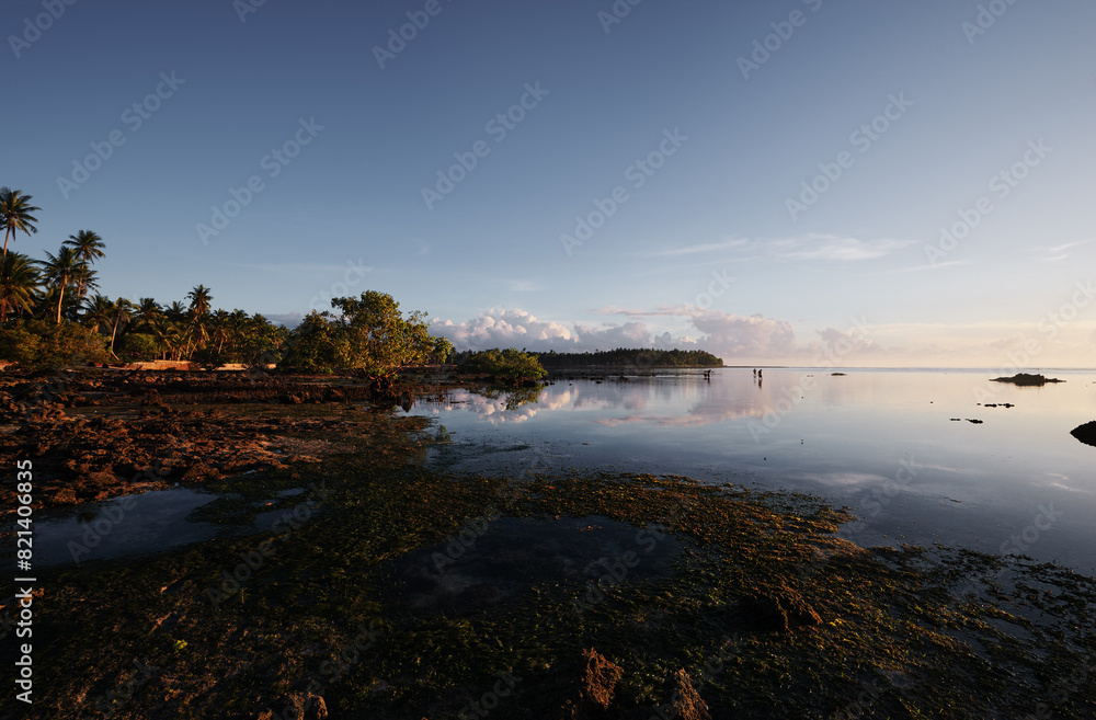 Landscape with mangrove trees on low tide coral beach.