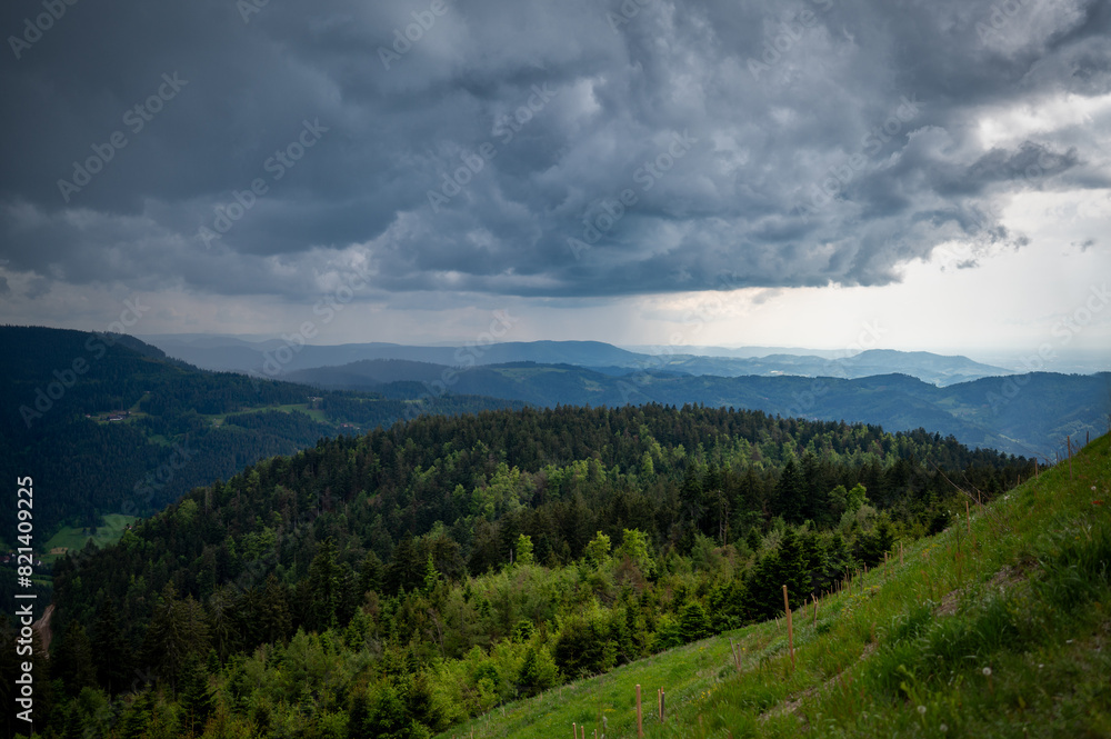 Schwarzwald Schwarzwald