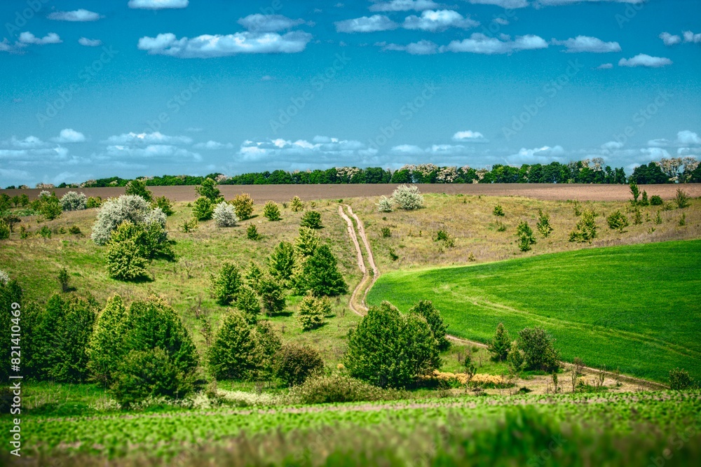 landscape of Ukraine
