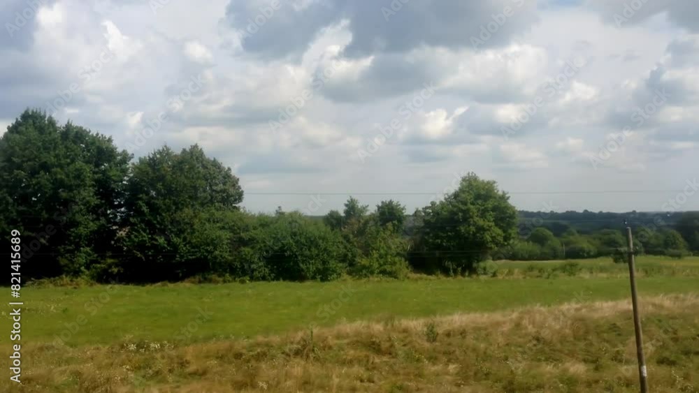 A field with a tree in the middle and a fence in the background A field with a tree in the middle and a fence in the background