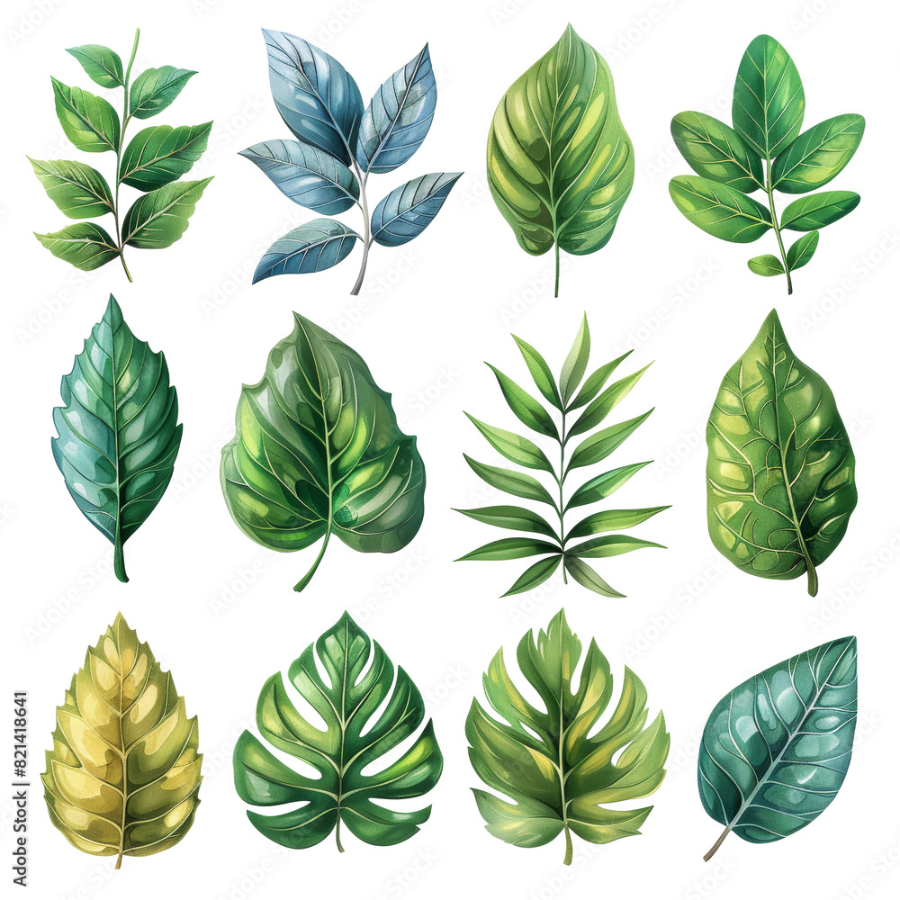 Hand-drawn green and yellow leaves in various shapes for botanical designs Hand-drawn green and yellow leaves in various shapes for botanical designs