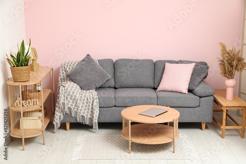 Stylish interior of living room with comfortable sofa, vase of pampas grass, pillows and houseplant