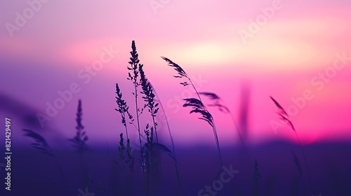 Tranquil Twilight Silhouette - Elegant Gradient in Deep Purple to Pastel Pink Evening Sky Backdrop