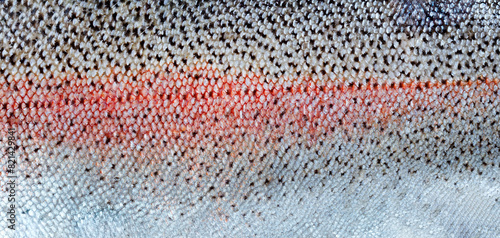 Fish skin of trout salmon background for sea food concept