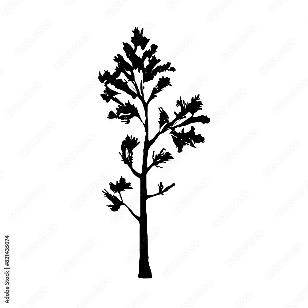 Obraz premium Pine Tree Silhouette Vector Clipart. 