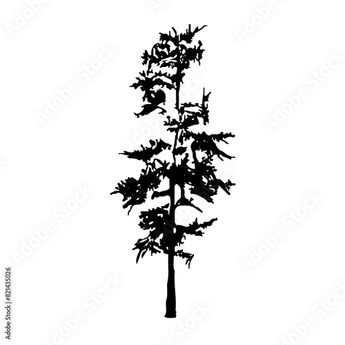 Pine Tree Silhouette Vector Clipart.	