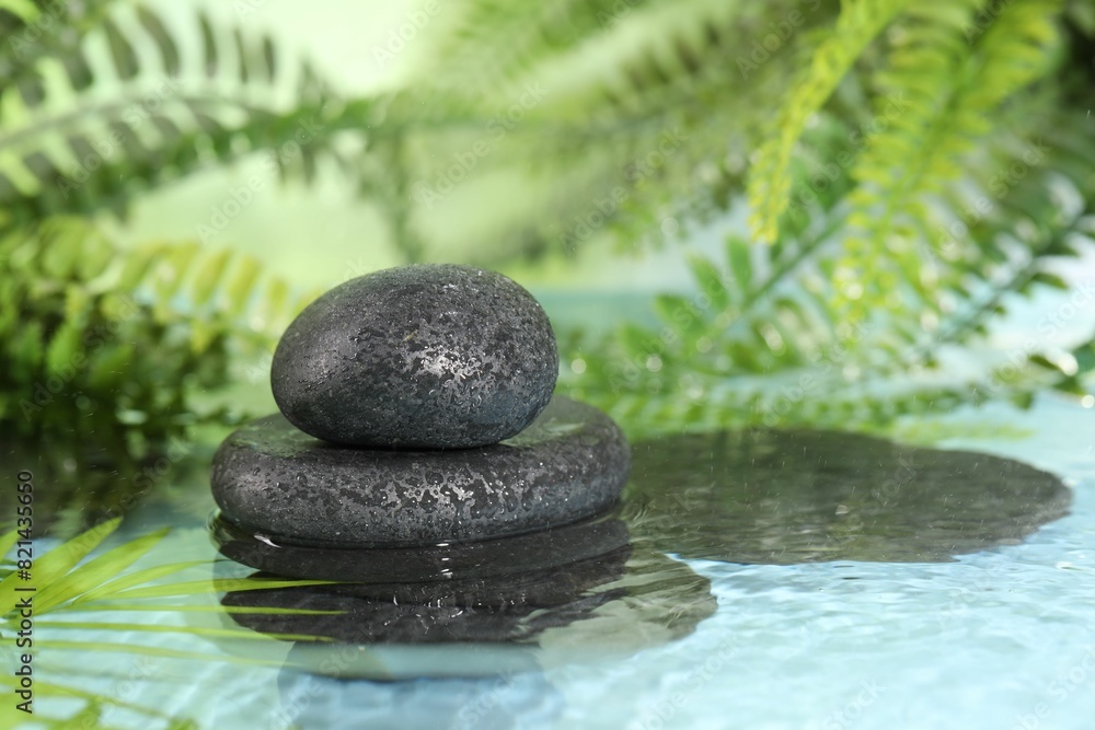 Naklejka premium Wet spa stones and palm leaves in water on light blue background. Space for text