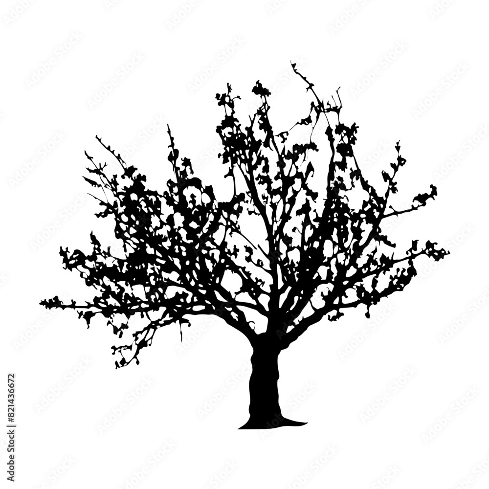 Obraz premium Tree Silhouette Vector Clipart
