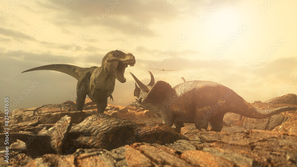 Fototapeta premium the battle of the dinosaurs Tyrannosaurus vs Triceratops render 3D