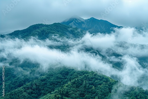 Misty Mountain Forest Landscape