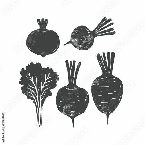 Vector beetroot organic vegetable sketch. Hand drawn style illustration