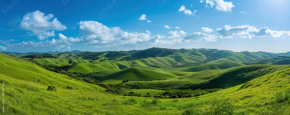 A vast, green field with a clear blue sky. The landscape is peaceful and serene, with no signs of human activity